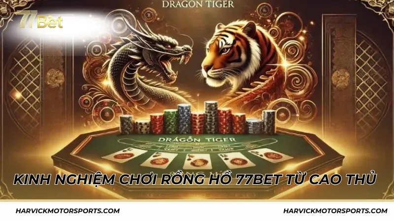 Kinh nghiệm chơi Rồng Hồ 77BET từ cao thủ