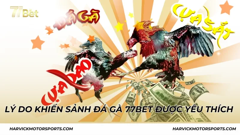 Lý do khiến sảnh đá gà 77BET được yêu thích hàng đầu